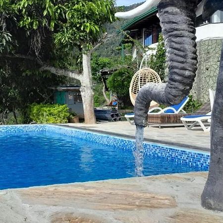 منتجع ميستي هيلز إيلا المظهر الخارجي الصورة